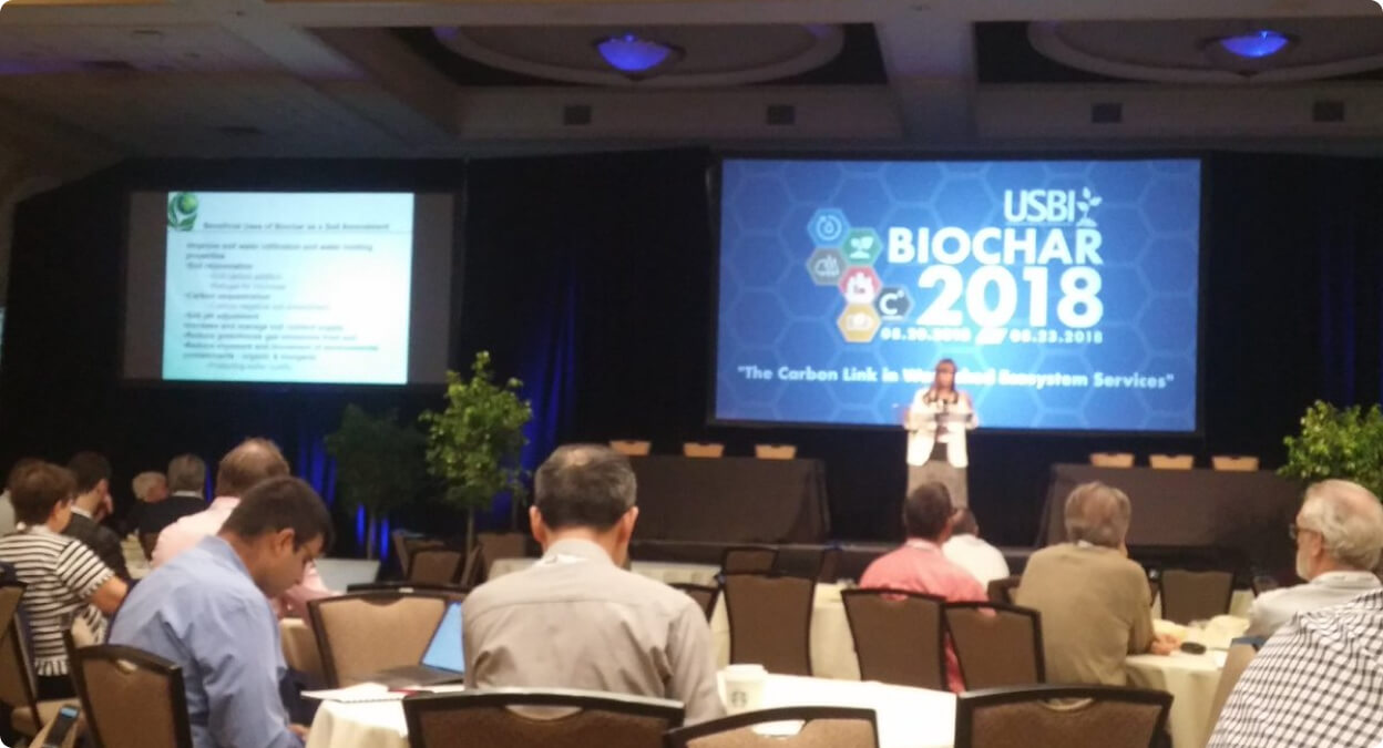 Biochar